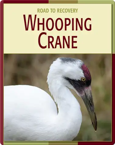 Road To Recovery: Whooping Crane book