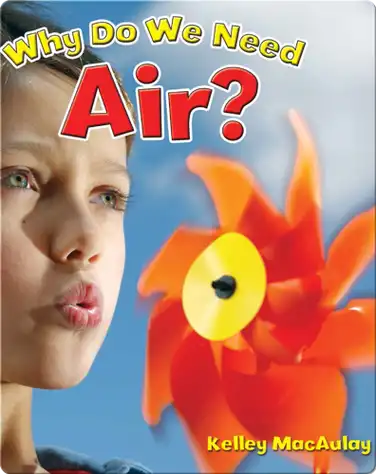 Why Do We Need Air? book