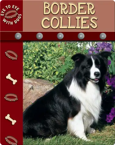 Eye To Eye With Dogs: Border Collies book