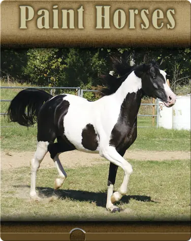 Paint Horses book