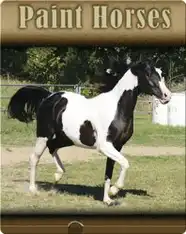 Paint Horses