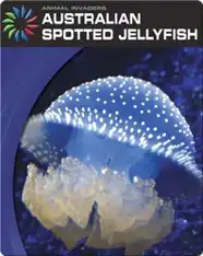 Animal Invaders: Australian Spotted Jellyfish