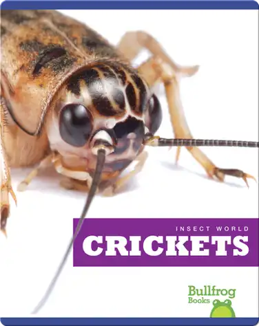 Insect World: Crickets book