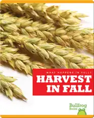 What Happens In Fall? Harvest In Fall