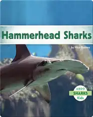 Hammerhead Sharks