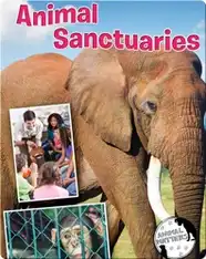 Animal Sanctuaries