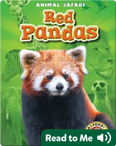 Red Pandas: Animal Safari book