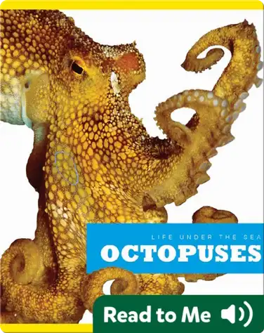 Octopuses book