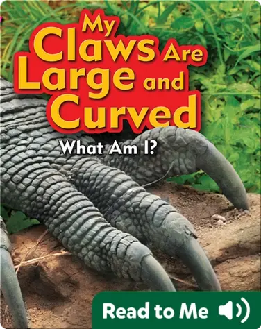 My Claws Are Large and Curved book