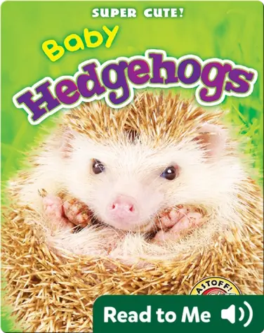 Super Cute! Baby Hedgehogs book
