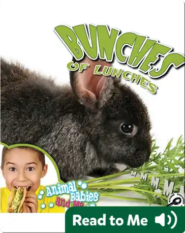 Bunches of Lunches book
