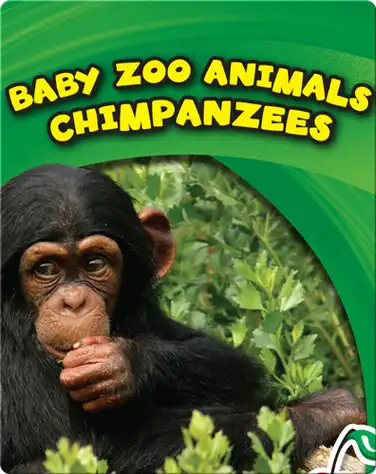 Baby Zoo Animals: Chimpanzees book