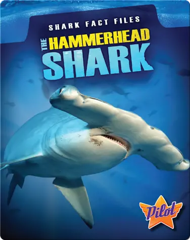 Shark Fact Files: The Hammerhead Shark book