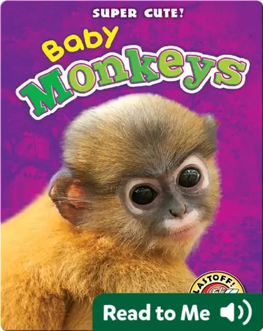 Super Cute! Baby Monkeys book