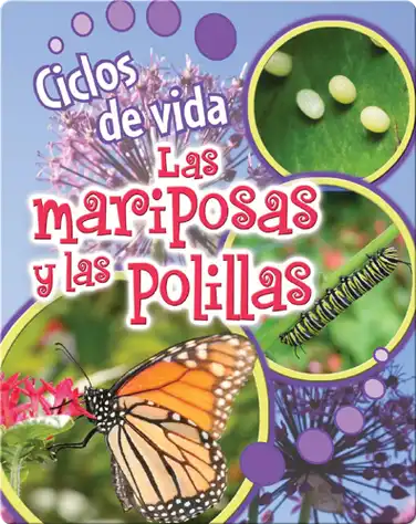Ciclos de vida de las mariposas y las polillas book