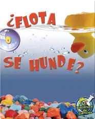 ¿Flota O Se Hunde? (Floating and Sinking)