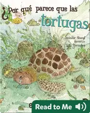 ¿Por qué parece que las tortugas están llorando?