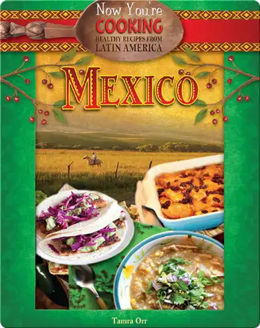 Now You're Cooking: Mexico book