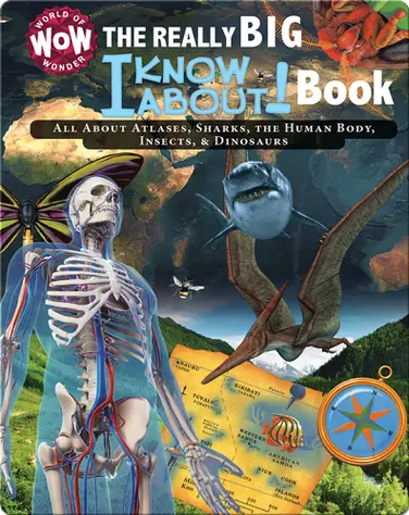 The Really Big I Know About! Book: All About Atlases, Sharks, The Human Body, Insects, & Dinosaurs book