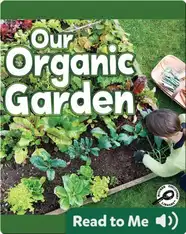 Our Organic Garden