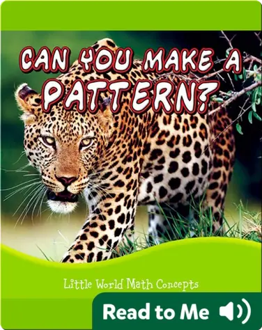 Can You Make A Pattern? book