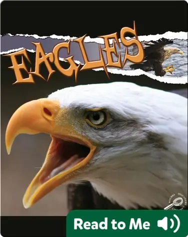 Raptors: Eagles book