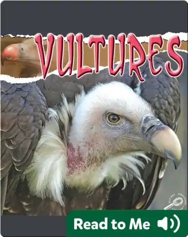 Raptors: Vultures book