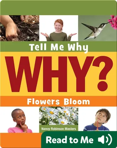 Flowers Bloom book