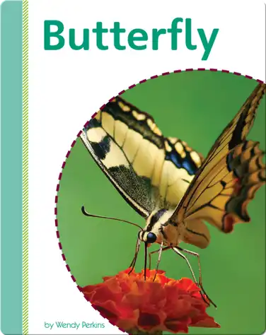 Butterfly book