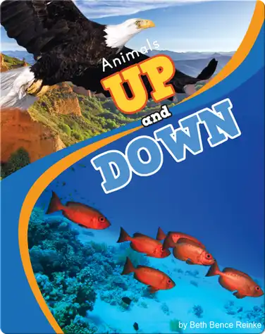 Animals Up and Down book