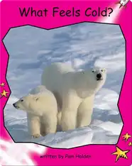 What Feels Cold?