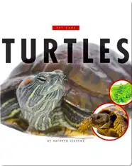 Turtles