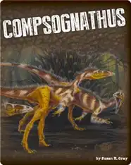 Compsognathus