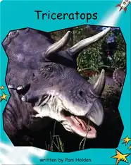 Triceratops