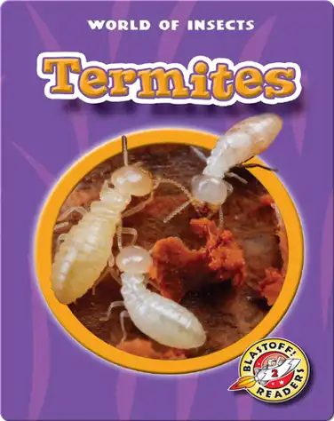 World of Insects: Termites book