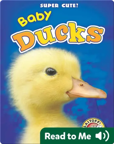 Super Cute! Baby Ducks book