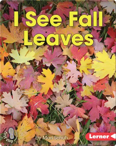 I See Fall Leaves book