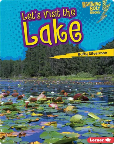 Let's Visit the Lake book