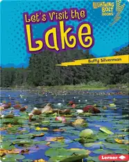 Let's Visit the Lake