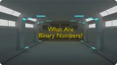What Are Binary Numbers? book
