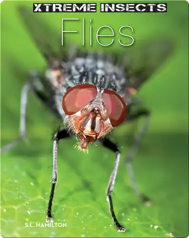 Flies book
