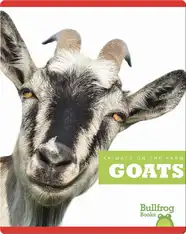 Goats