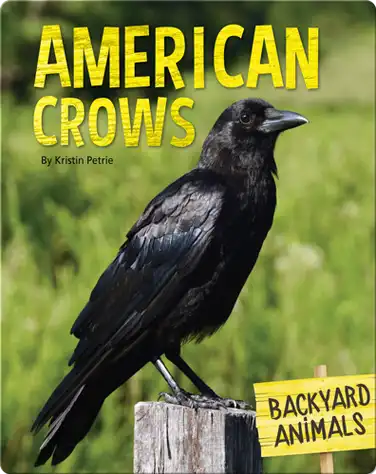 American Crows book
