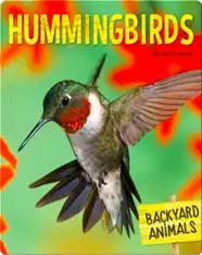 Hummingbirds