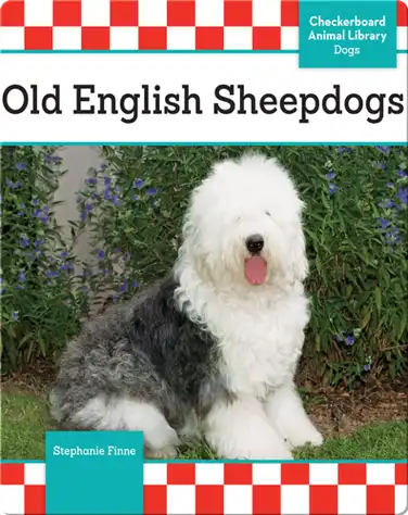 Old English Sheepdogs book