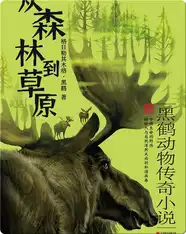 黑鹤动物传奇小说--从草原到森林