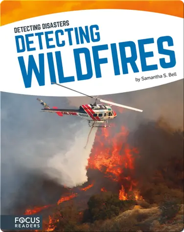 Detecting Wildfires book