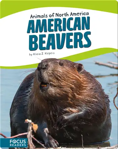 American Beavers book