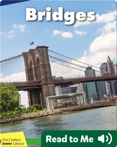 Bridges book