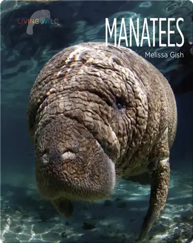 Manatees book